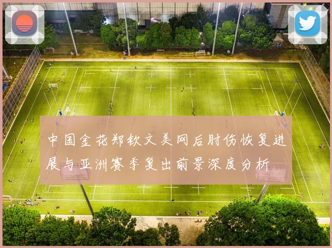 中国金花郑钦文美网后肘伤恢复进展与亚洲赛季复出前景深度分析