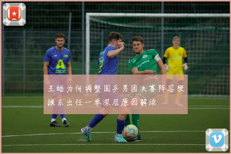 王皓为何调整国乒男团决赛阵容樊振东出任一单深层原因解读
