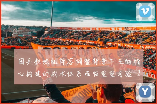 国乒教练组阵容调整背景下王皓精心构建的战术体系面临重重考验