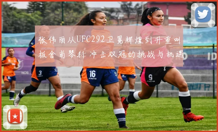 张伟丽从UFC292卫冕辉煌到升重叫板舍甫琴科 冲击双冠的挑战与机遇深度前瞻
